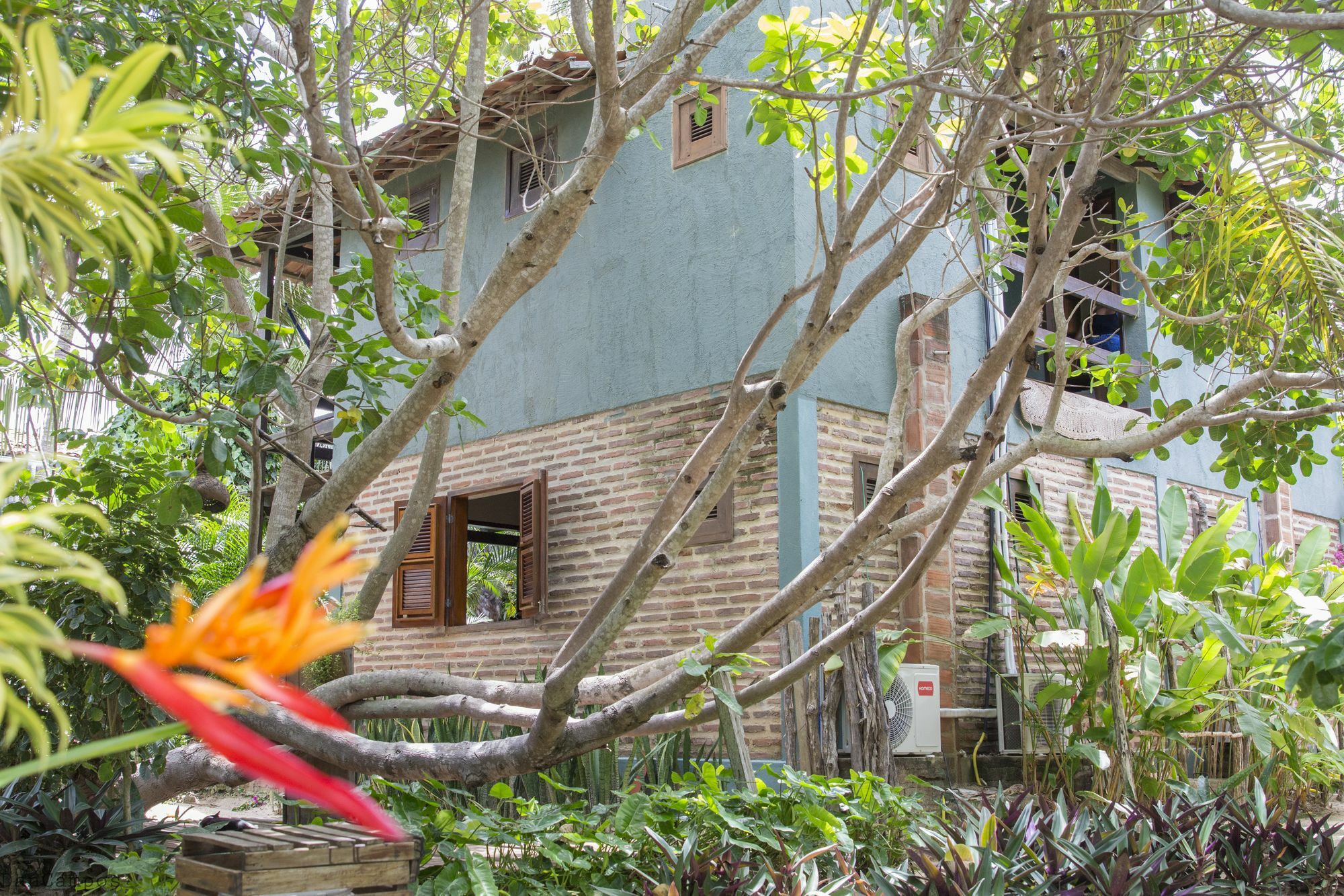 Pousada Mahi Jijoca de Jericoacoara Ngoại thất bức ảnh